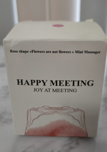 Happy meeting mini - happy,